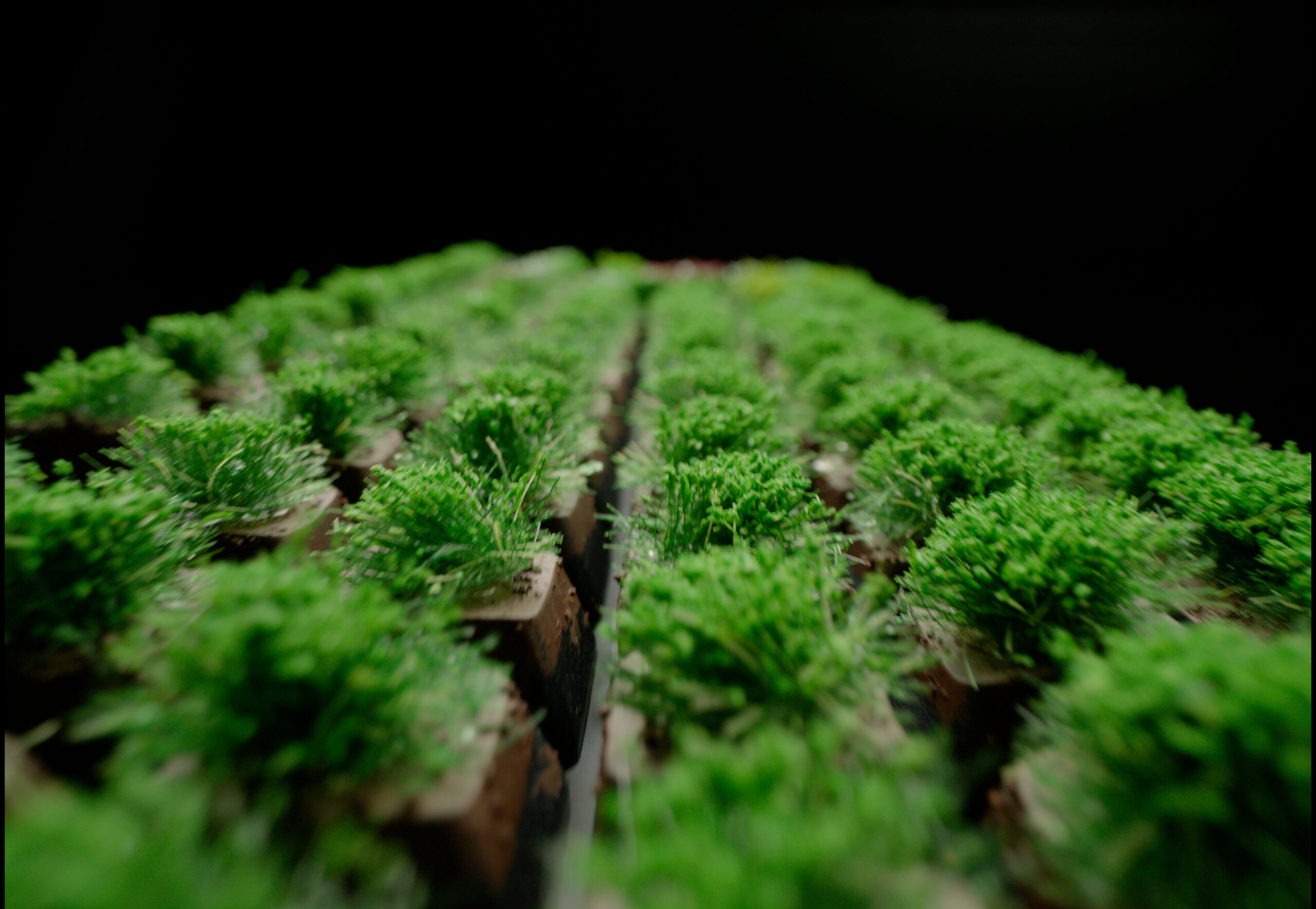 YAH_TouchGrassKeyboard_13